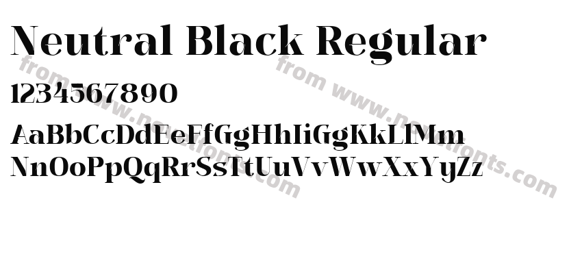 Neutral Black RegularPreview