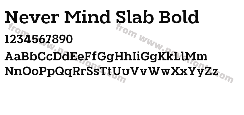 Never Mind Slab BoldPreview