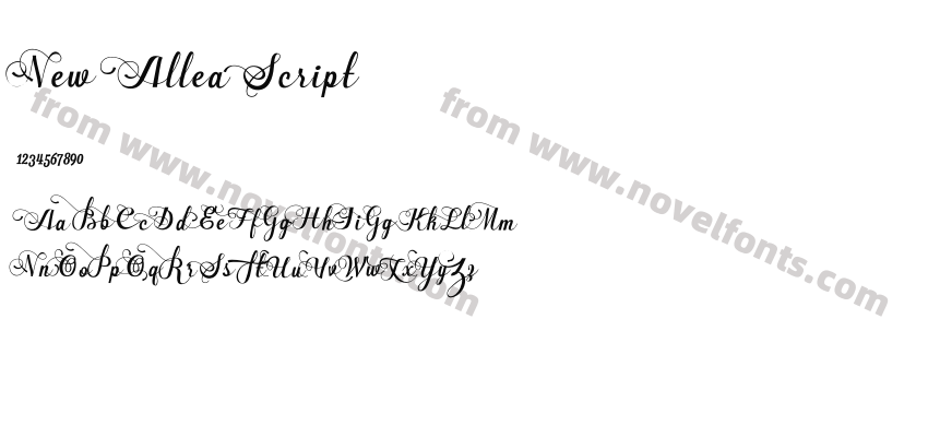 New Allea ScriptPreview