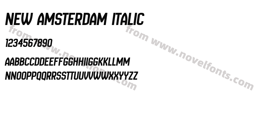 New Amsterdam ItalicPreview
