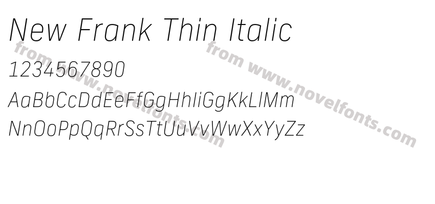 New Frank Thin ItalicPreview