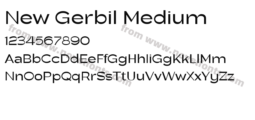 New Gerbil MediumPreview