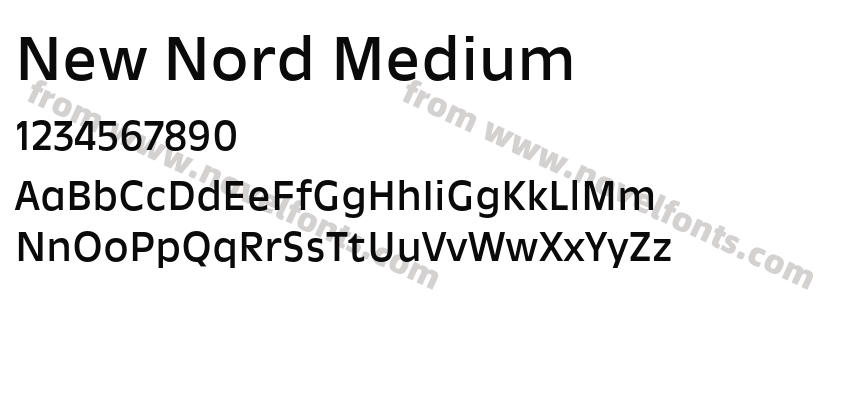 New Nord MediumPreview