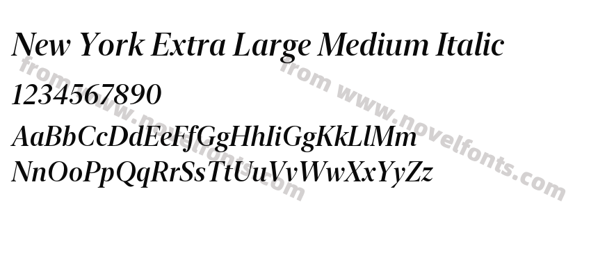 New York Extra Large Medium ItalicPreview