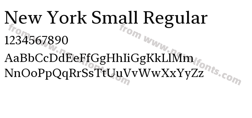 New York Small RegularPreview