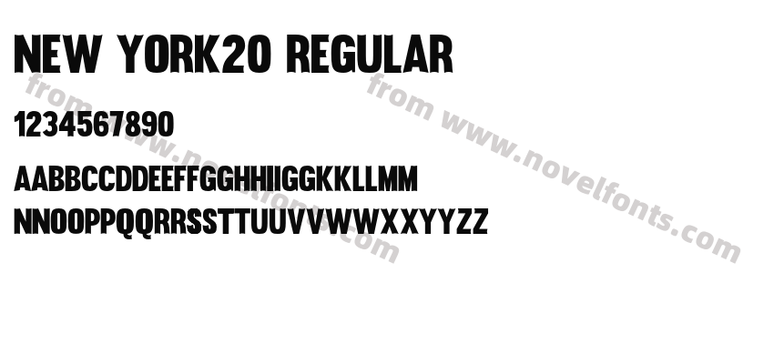 New York20 RegularPreview