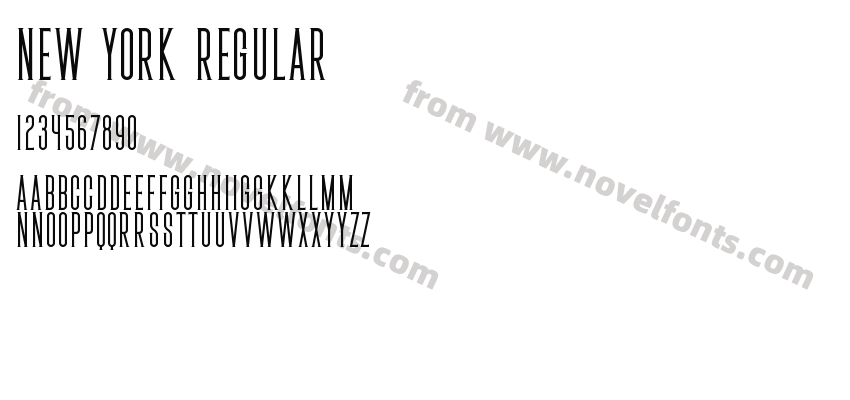 New york RegularPreview