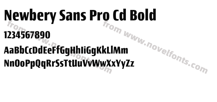 Newbery Sans Pro Cd BoldPreview