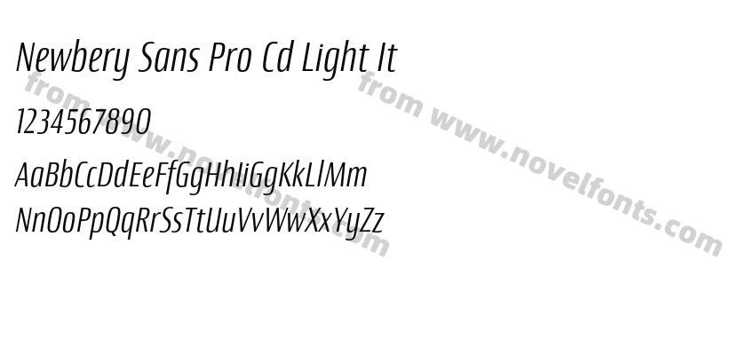 Newbery Sans Pro Cd Light ItPreview