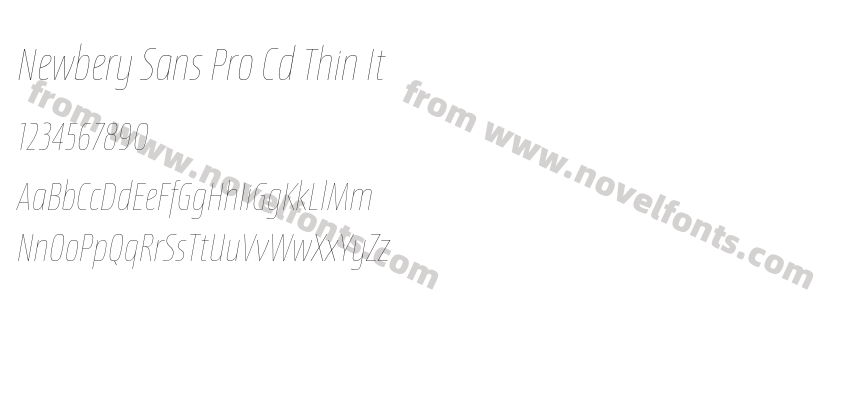 Newbery Sans Pro Cd Thin ItPreview