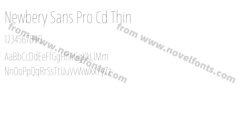 Newbery Sans Pro Cd ThinPreview