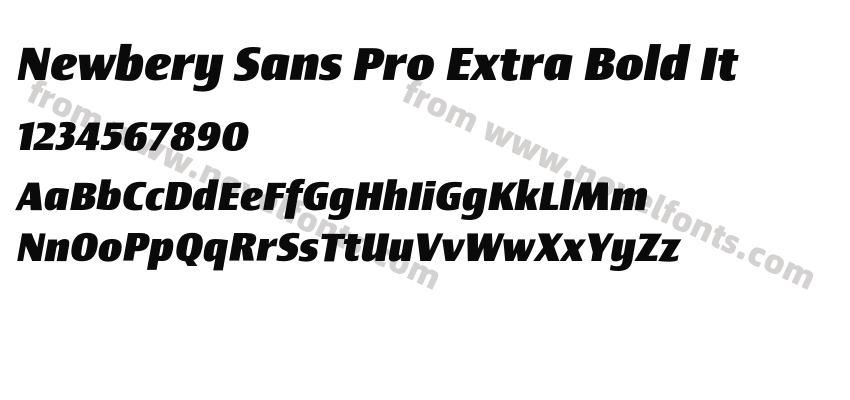 Newbery Sans Pro Extra Bold ItPreview