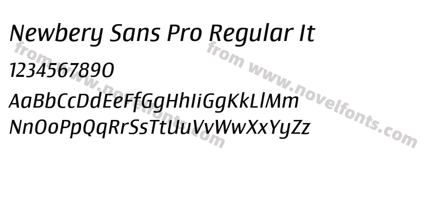 Newbery Sans Pro Regular ItPreview