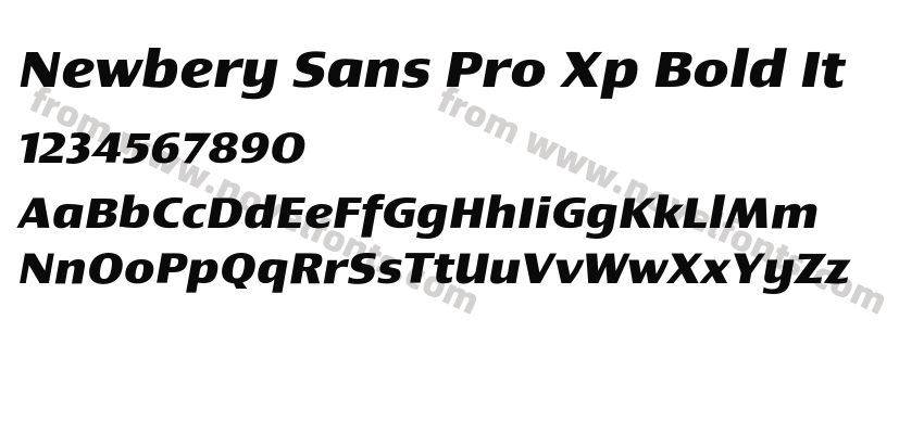 Newbery Sans Pro Xp Bold ItPreview