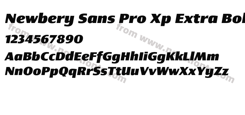Newbery Sans Pro Xp Extra Bold ItPreview
