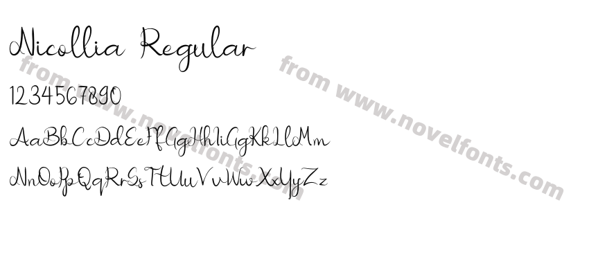 Nicollia RegularPreview