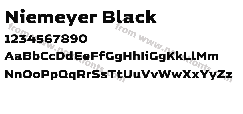 Niemeyer BlackPreview