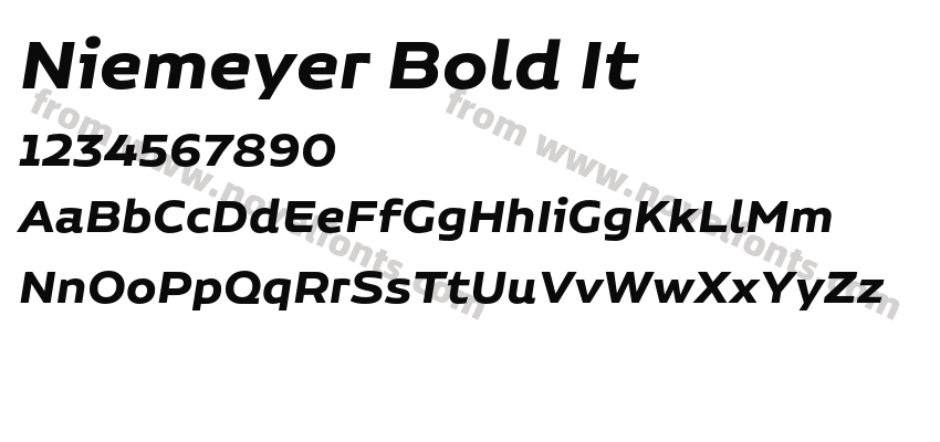 Niemeyer Bold ItPreview
