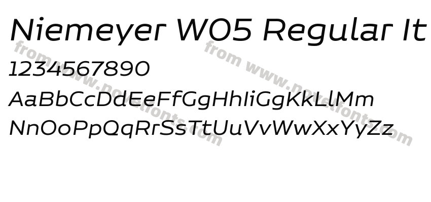 Niemeyer W05 Regular ItPreview
