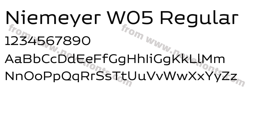 Niemeyer W05 RegularPreview