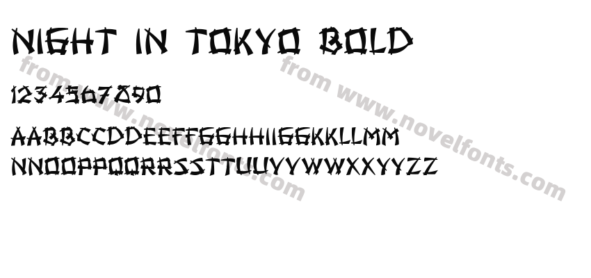 Night in Tokyo BoldPreview