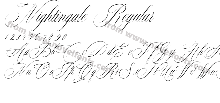Nightingale RegularPreview