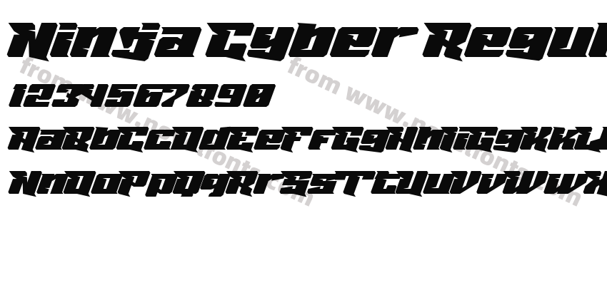 Ninja Cyber RegularPreview