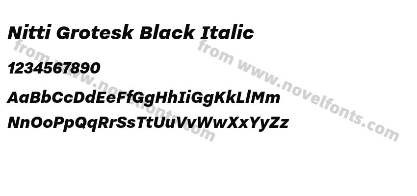 Nitti Grotesk Black ItalicPreview