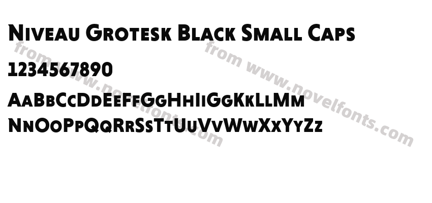 Niveau Grotesk Black Small CapsPreview