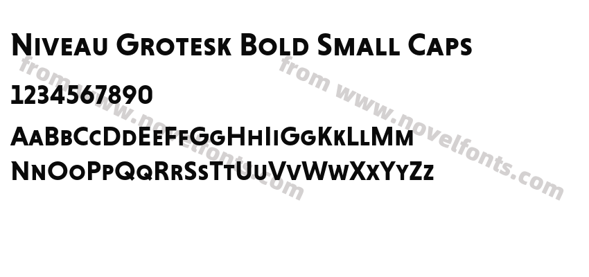 Niveau Grotesk Bold Small CapsPreview