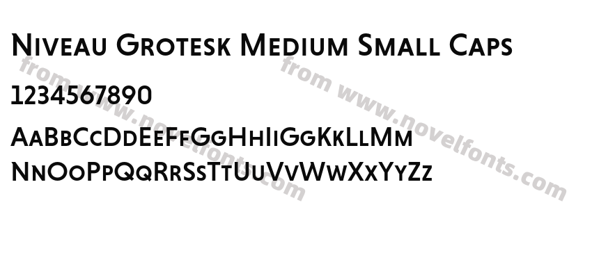 Niveau Grotesk Medium Small CapsPreview
