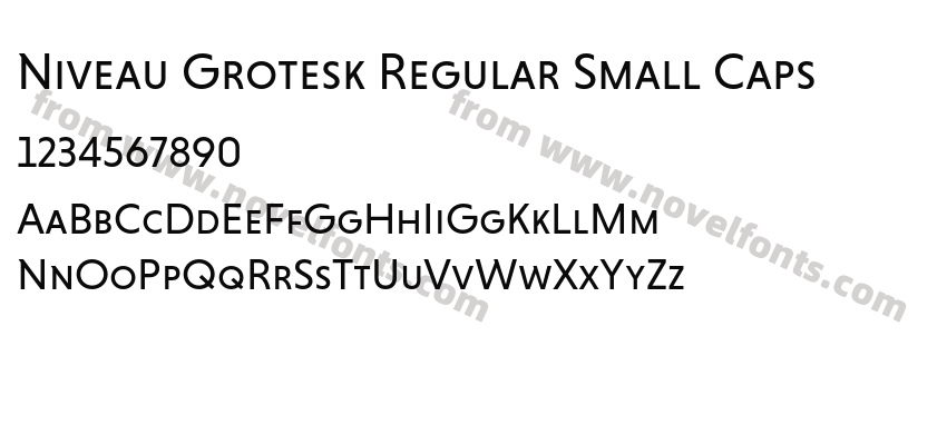 Niveau Grotesk Regular Small CapsPreview