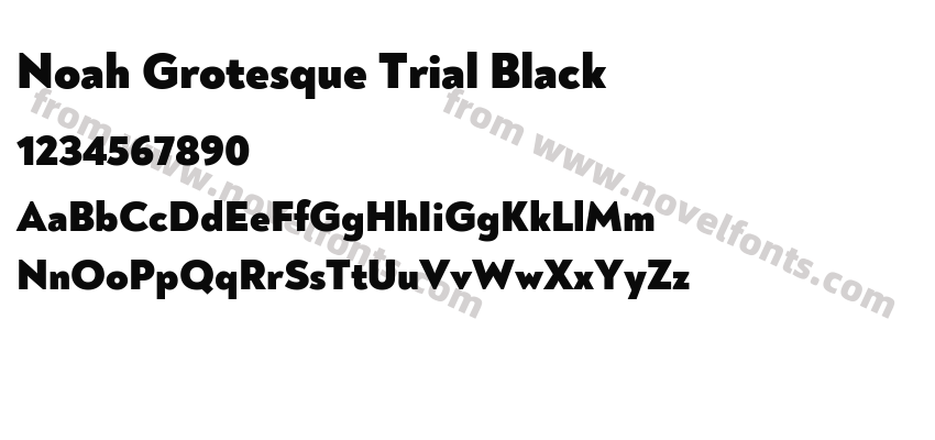Noah Grotesque Trial BlackPreview