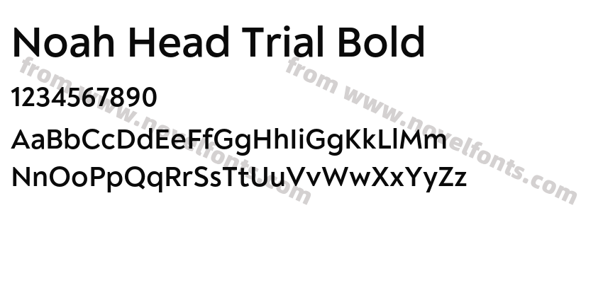 Noah Head Trial BoldPreview
