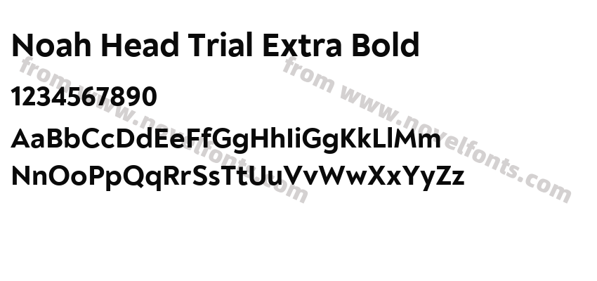 Noah Head Trial Extra BoldPreview