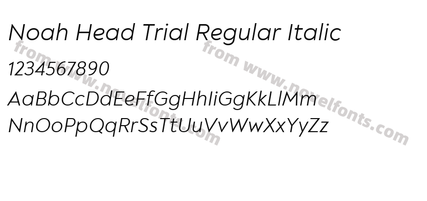 Noah Head Trial Regular ItalicPreview