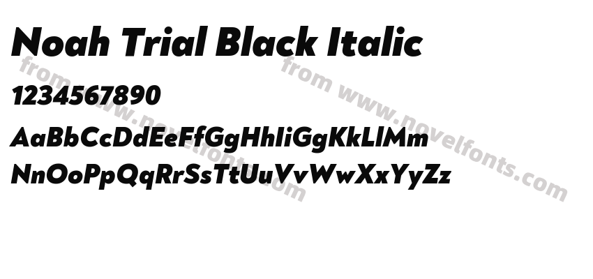 Noah Trial Black ItalicPreview
