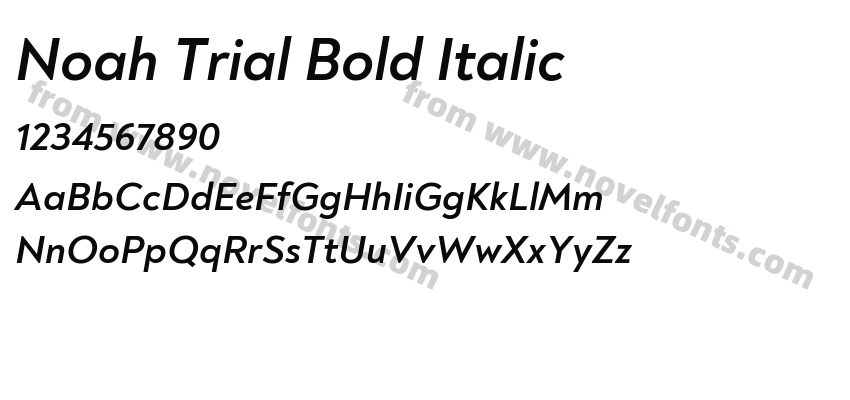 Noah Trial Bold ItalicPreview