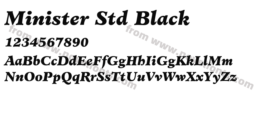 Minister Std BlackPreview