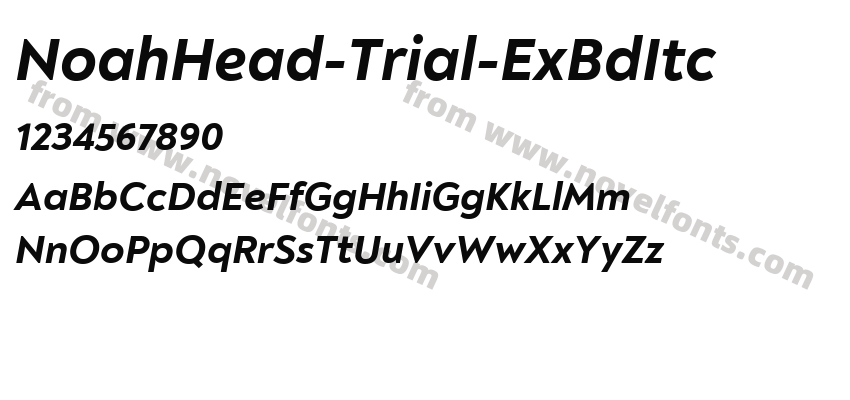 NoahHead-Trial-ExBdItcPreview