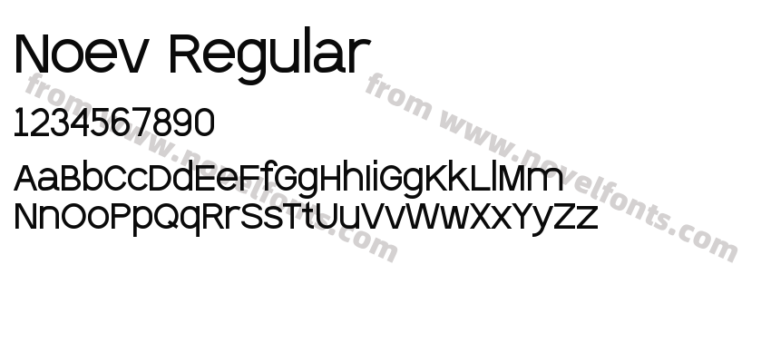 Noev RegularPreview