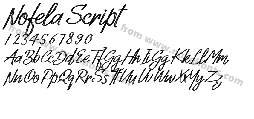 Nofela ScriptPreview