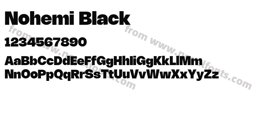Nohemi BlackPreview