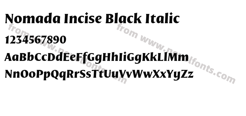 Nomada Incise Black ItalicPreview