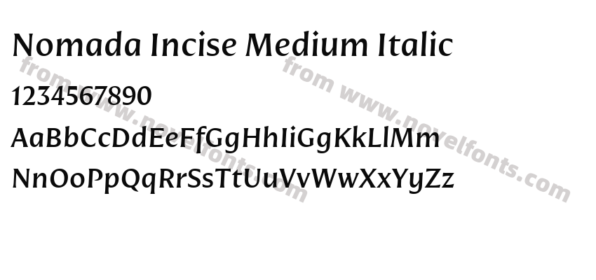 Nomada Incise Medium ItalicPreview