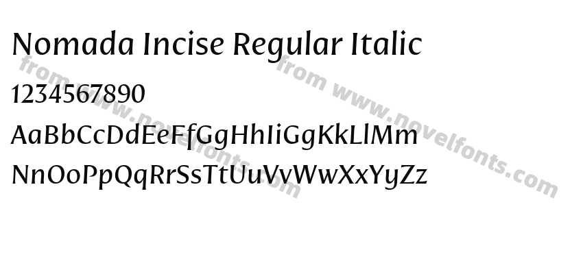 Nomada Incise Regular ItalicPreview