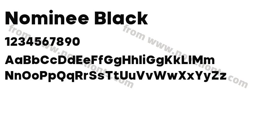 Nominee BlackPreview