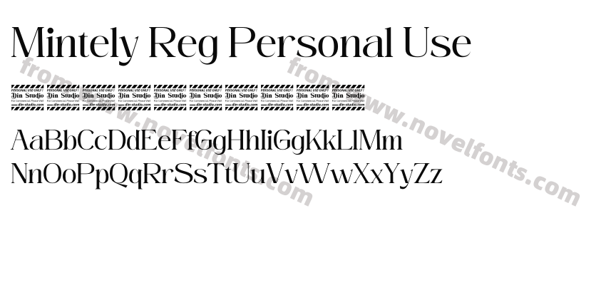 Mintely Reg Personal UsePreview