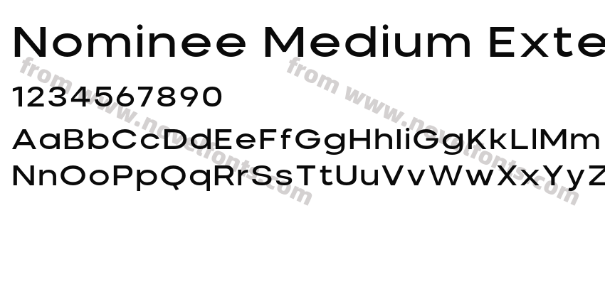 Nominee Medium ExtendedPreview