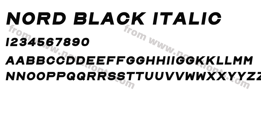 Nord Black ItalicPreview